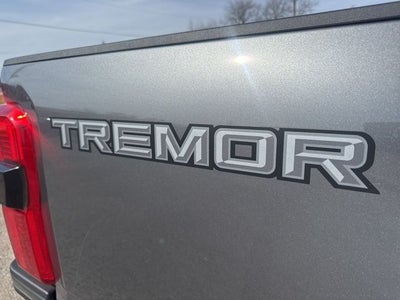 2025 Ford F-250SD Platinum