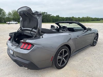 2024 Ford Mustang EcoBoost Premium
